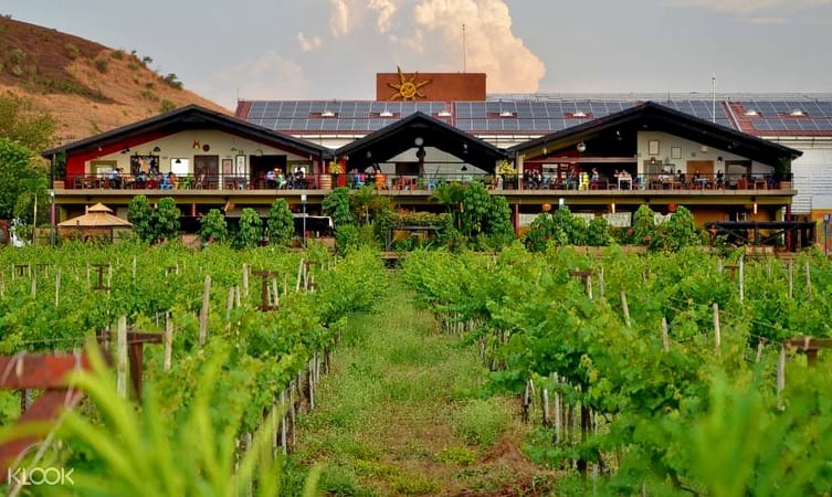 sula-vineyard-img